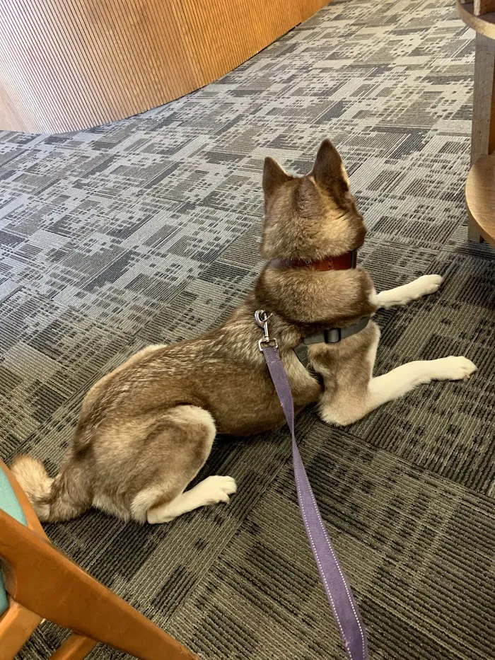 Fur Ever Friends Veterinary Clinic 12