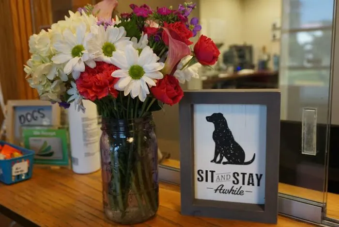 Fur Ever Friends Veterinary Clinic 12