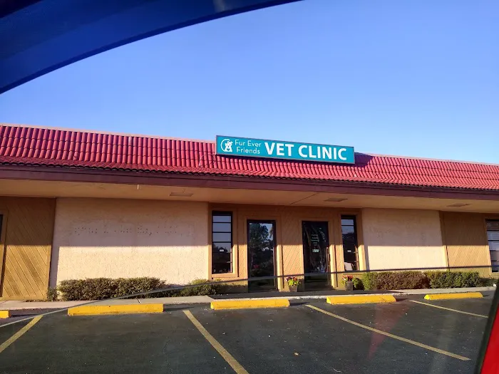 Fur Ever Friends Veterinary Clinic 12