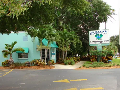 Animal Hospital of Seminole, A Thrive Pet Healthcare Partner 6