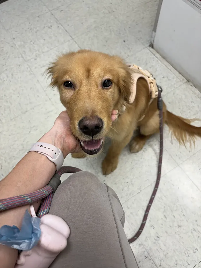 Animal Hospital of Seminole, A Thrive Pet Healthcare Partner 1