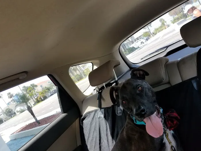 Pawsitive Veterinary Care 12