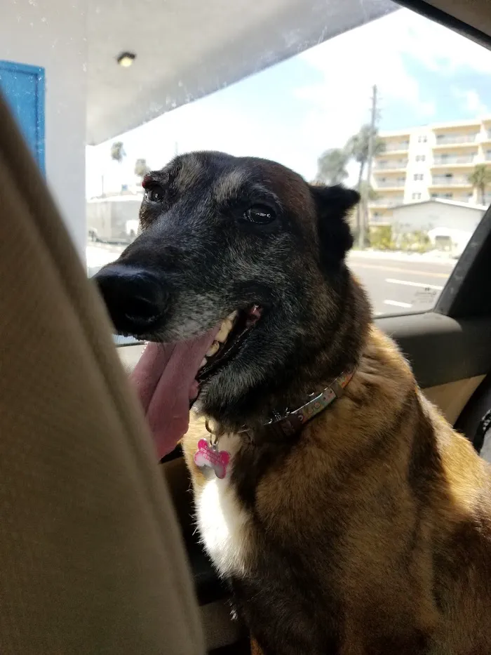 Pawsitive Veterinary Care 12