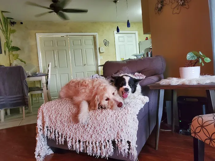Park Animal Hospital Inc 12