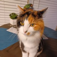 Park Animal Hospital Inc ico