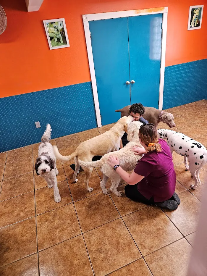 Animal & Bird Hospital of Clearwater 12