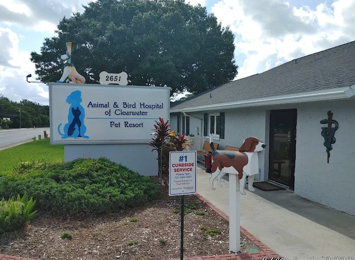 Animal & Bird Hospital of Clearwater 12