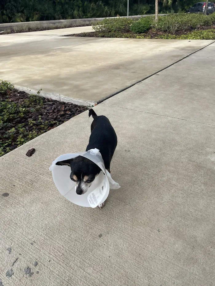 Metzler Veterinary Hospital 12