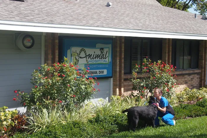 Animal Hospital of Northwood 12