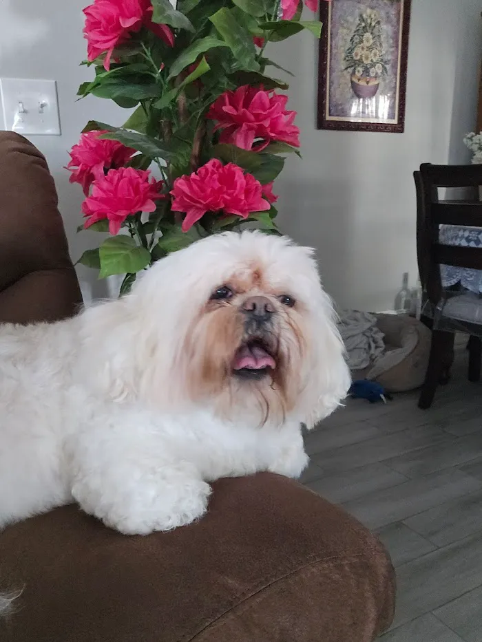 Banfield Pet Hospital 12