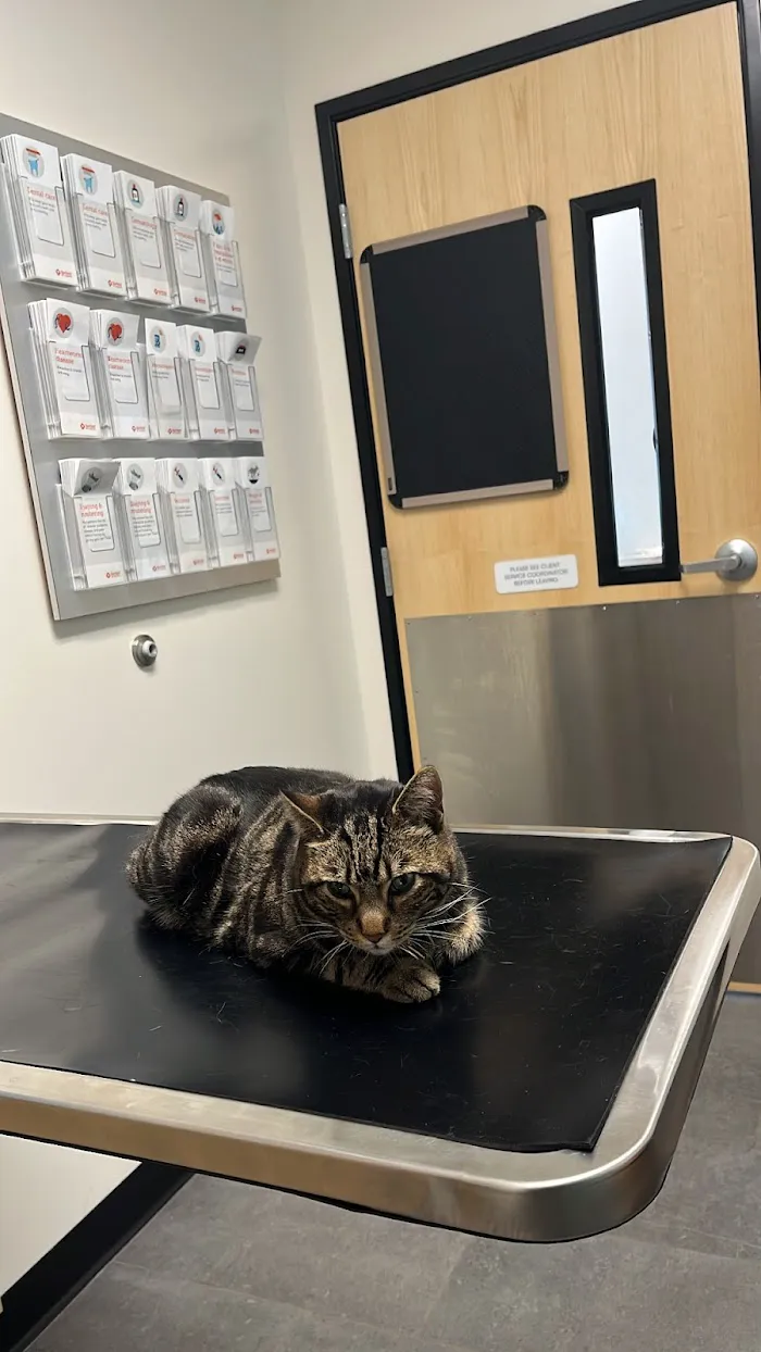 Banfield Pet Hospital 12
