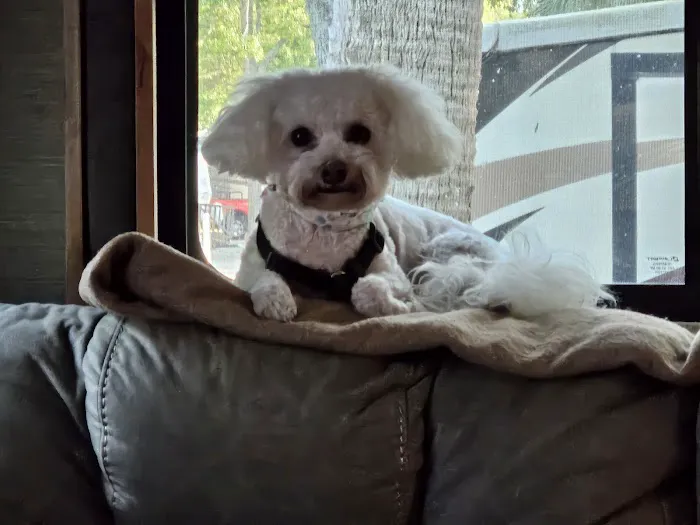 Banfield Pet Hospital 12