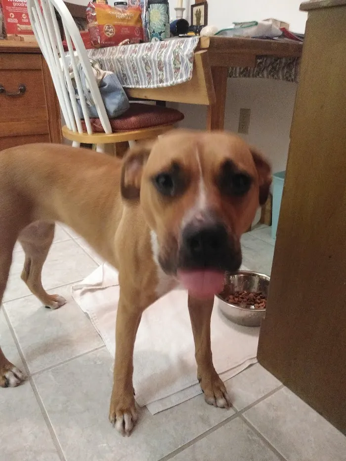 Tarpon Woods Veterinary Medical Center 12