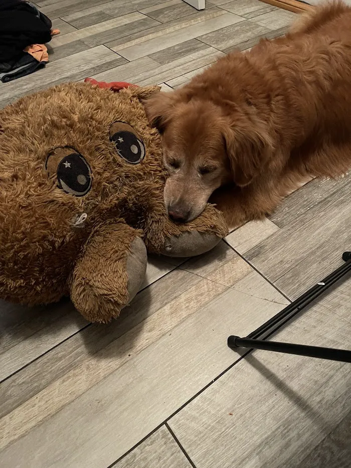 Tarpon Woods Veterinary Medical Center 12