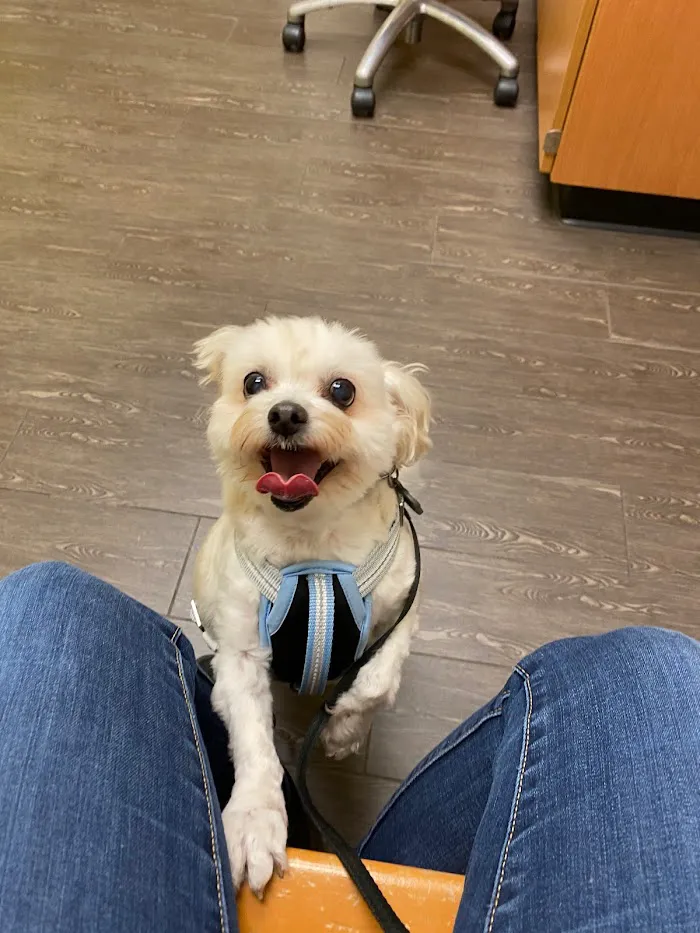 Banfield Pet Hospital 12