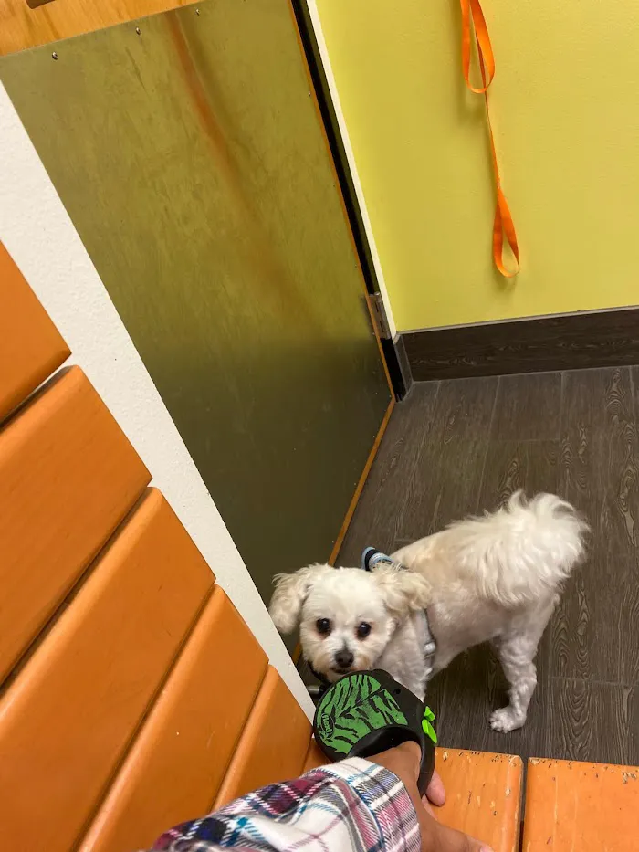 Banfield Pet Hospital 12