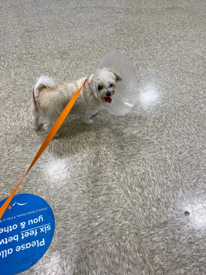Banfield Pet Hospital 12
