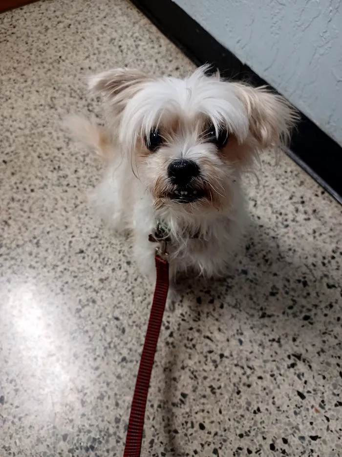 Lake Seminole Animal Hospital 12