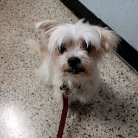 Lake Seminole Animal Hospital ico