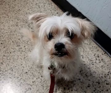Lake Seminole Animal Hospital