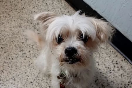 Lake Seminole Animal Hospital