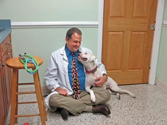 Lake Seminole Animal Hospital 12