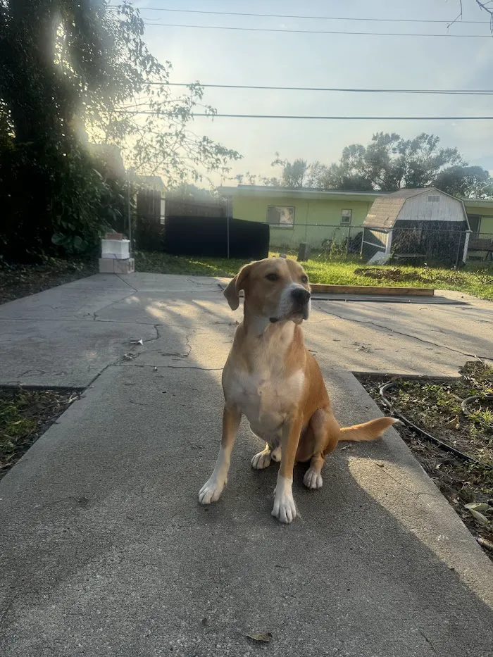 Lake Seminole Animal Hospital 12