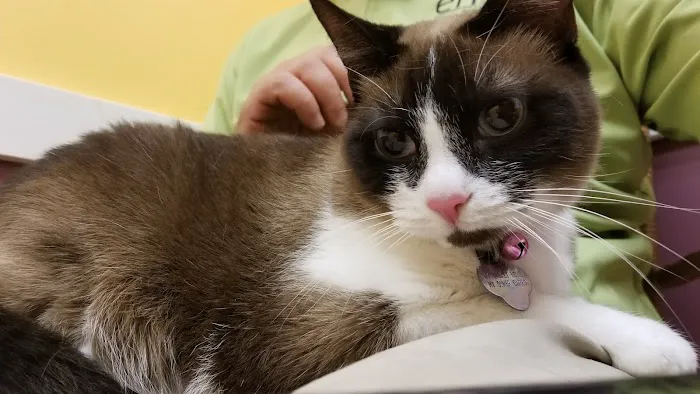 St Pete Beach Veterinary Clinic 12