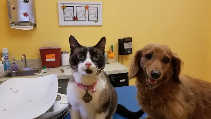 St Pete Beach Veterinary Clinic 12