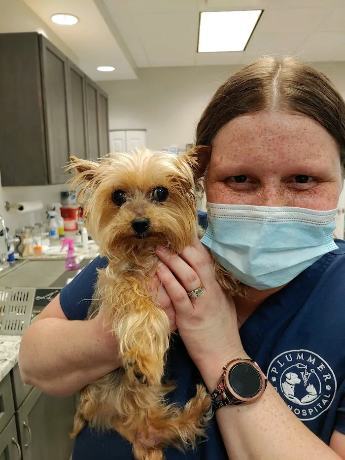 Plummer Pet Hospital 8