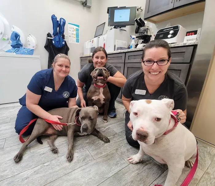 Plummer Pet Hospital 5