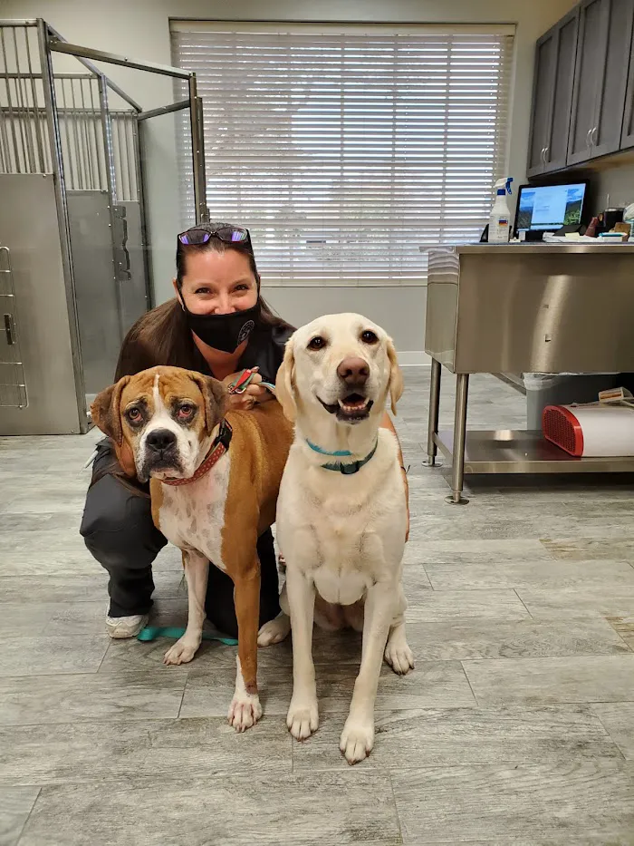 Plummer Pet Hospital 9