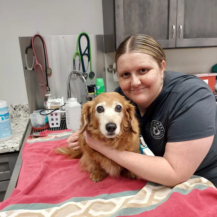 Plummer Pet Hospital 6