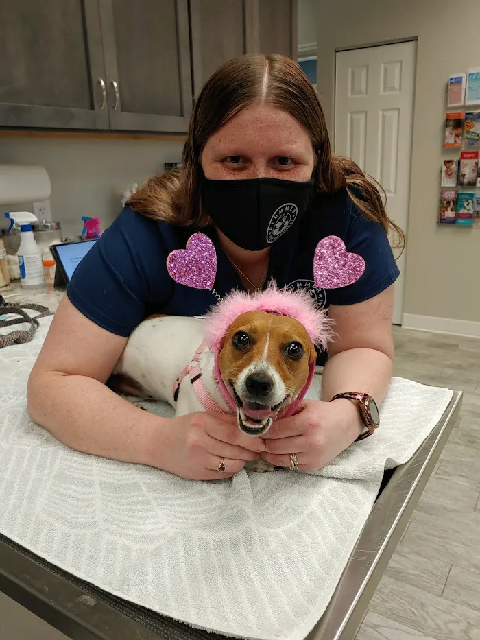 Plummer Pet Hospital 10