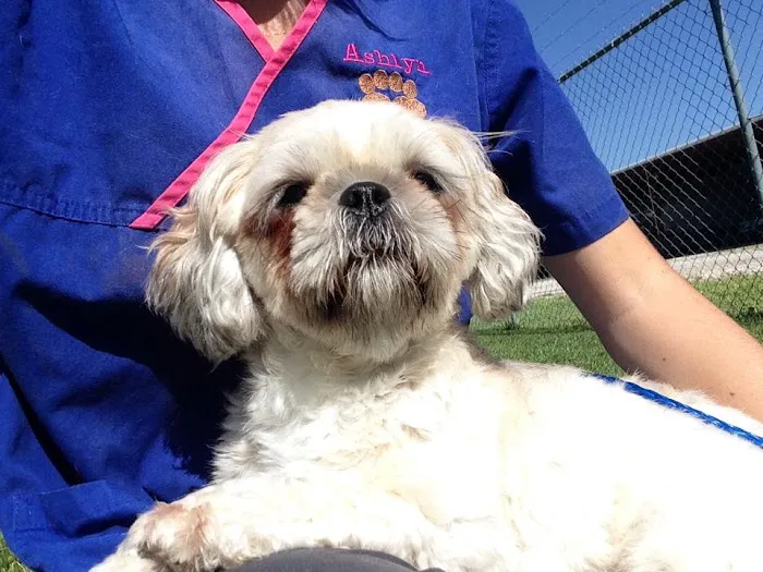 Thomas Animal Hospital 12