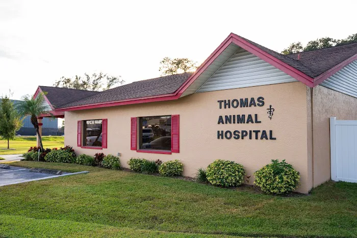 Thomas Animal Hospital 12