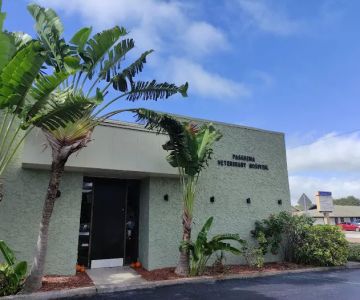 Pasadena Veterinary Hospital & Laser Center
