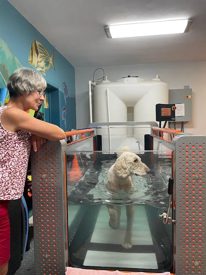 Healing Hands for Pets 12