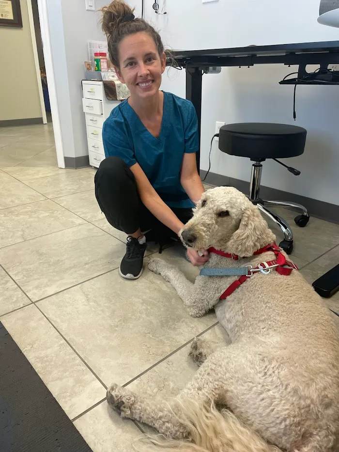 Healing Hands for Pets 12