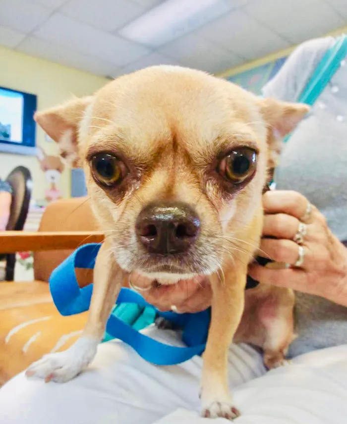 SPOT Spay & Neuter Clinic 3