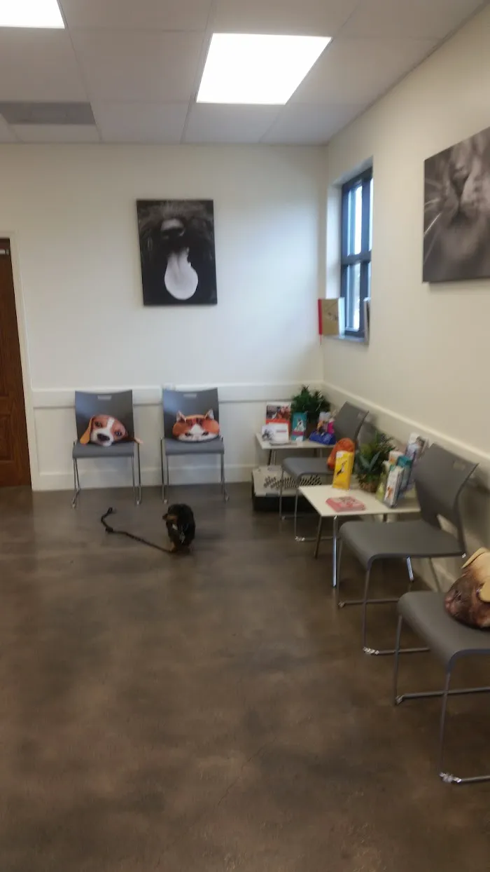 Community Animal Hospitals 12