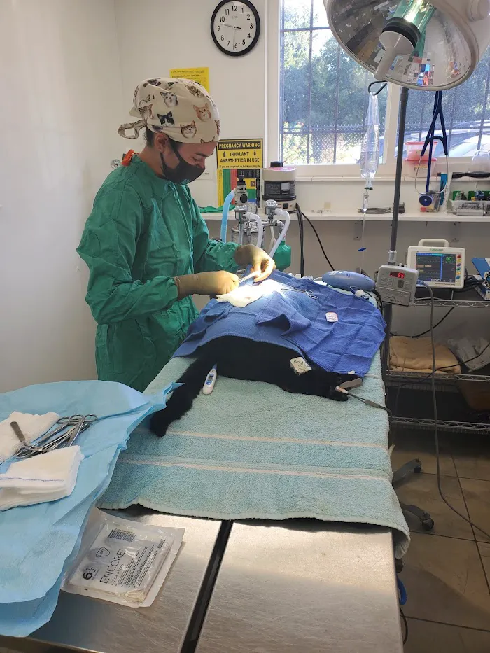 Tyrone Veterinary Hospital 12
