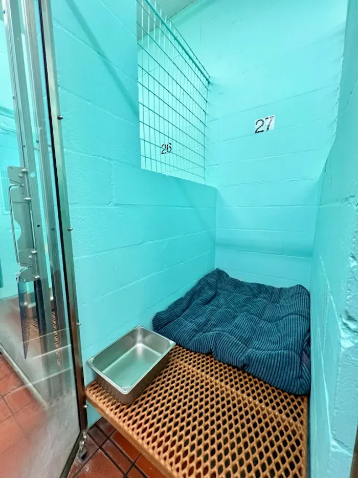 VCA Noah’s Place Animal Medical Center 10