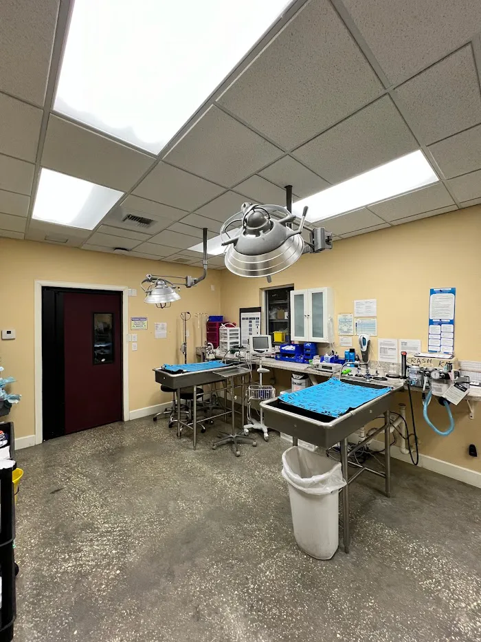 VCA Noah’s Place Animal Medical Center 1