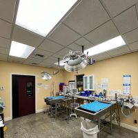 VCA Noah’s Place Animal Medical Center ico