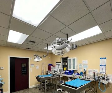 VCA Noah’s Place Animal Medical Center