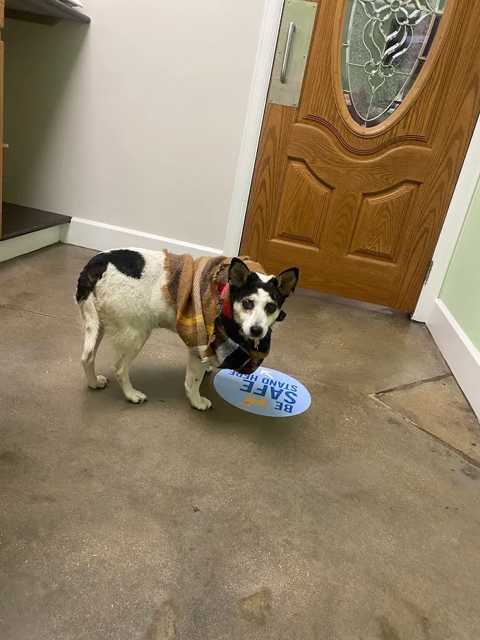 VCA Noah’s Place Animal Medical Center 7
