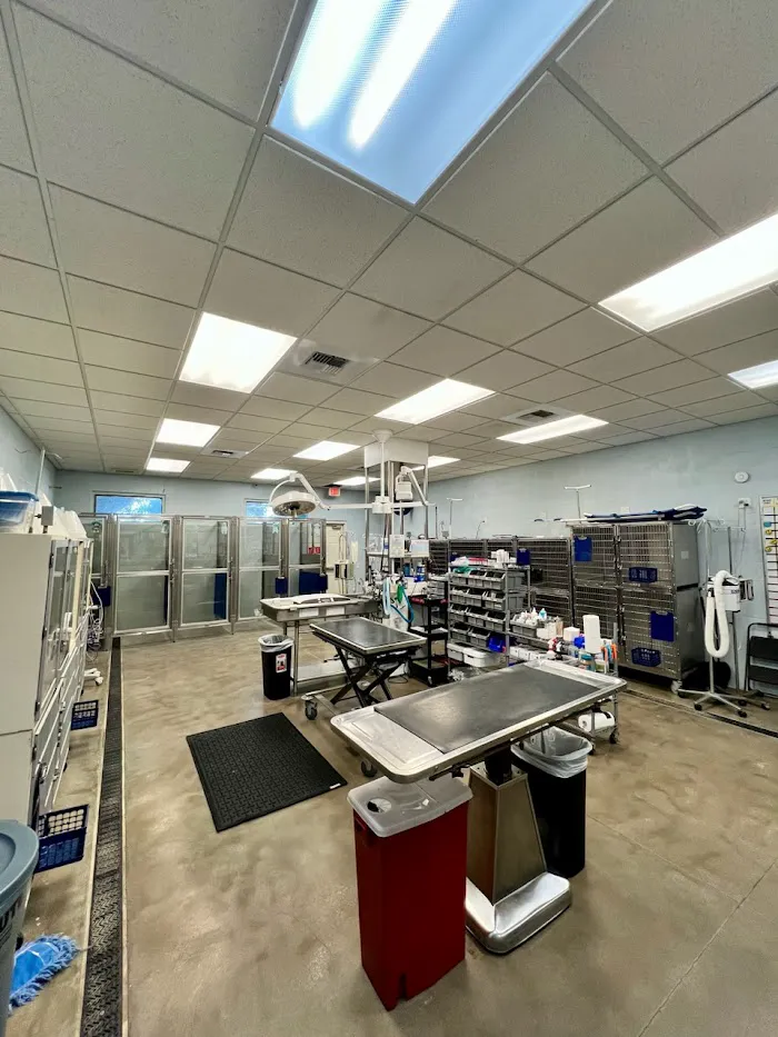 VCA Noah’s Place Animal Medical Center 9
