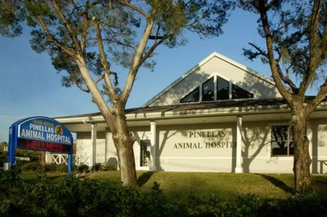 Pinellas Animal Hospital 12