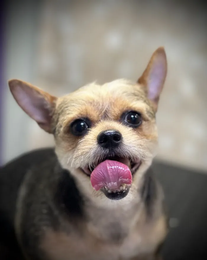 Banfield Pet Hospital 12